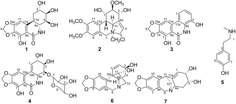 Figure 1.