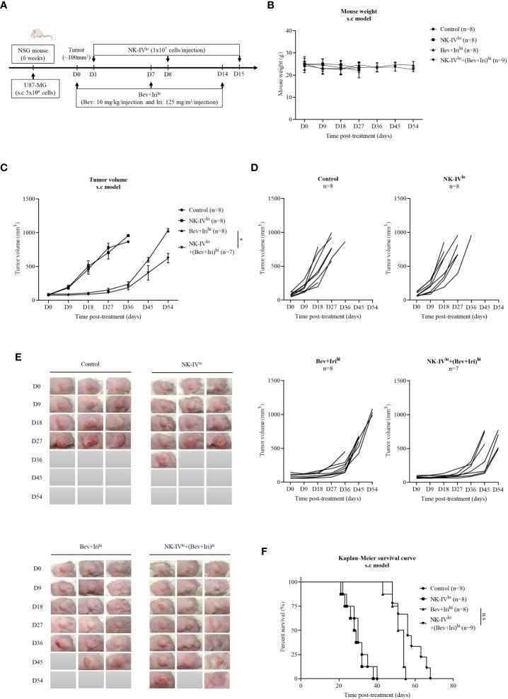 Figure 3