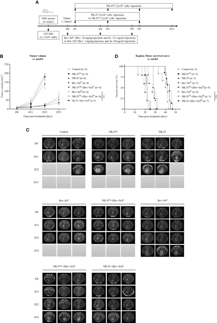 Figure 4