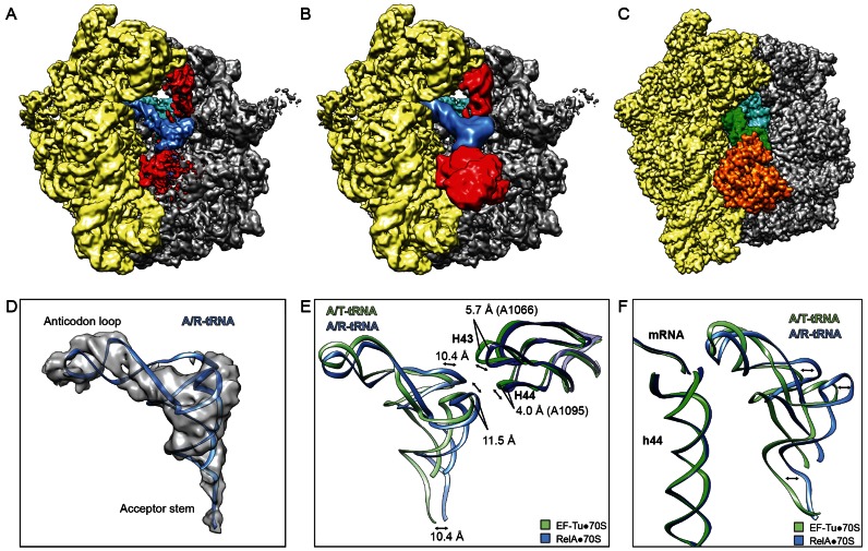 Figure 2.