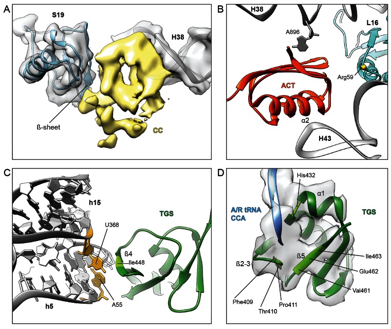 Figure 4.