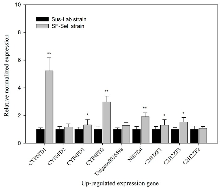 Figure 6