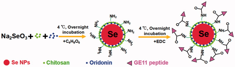 Scheme 1.