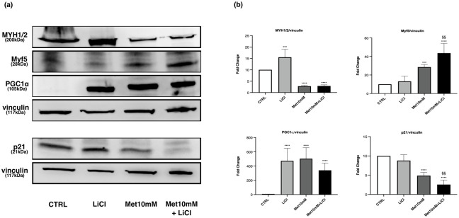 Fig 14