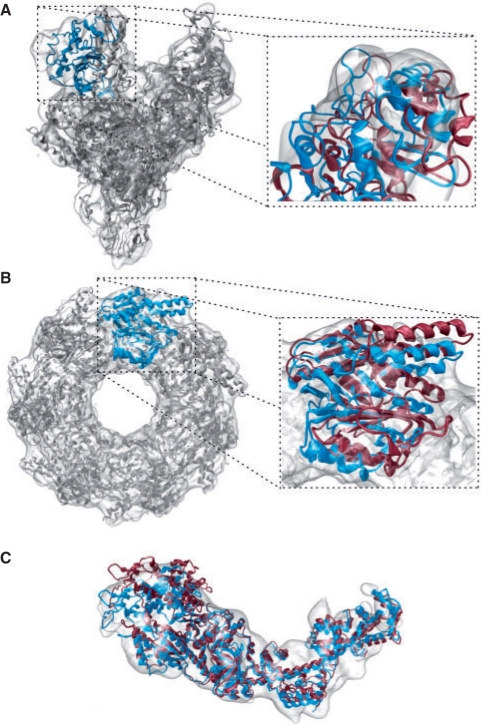 Fig. 2.