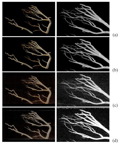 Figure 16