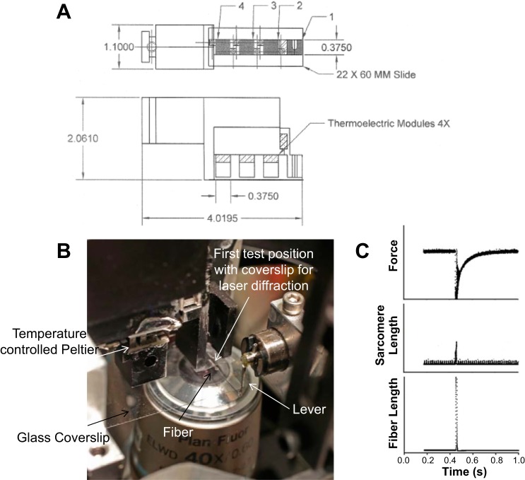 Fig. A1.