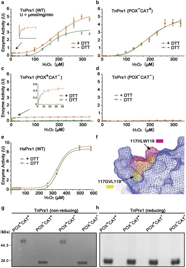 Figure 4.