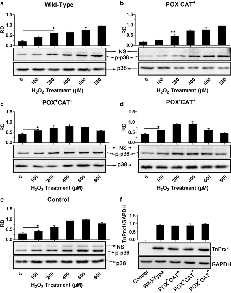 Figure 10.