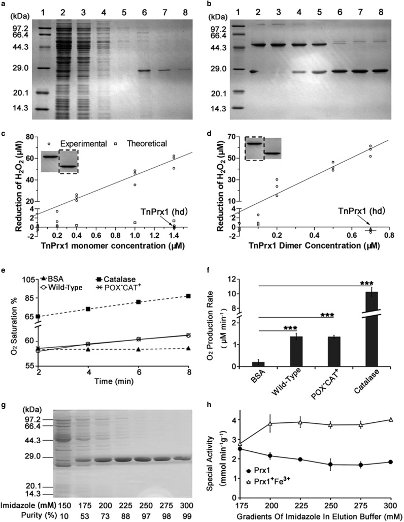 Figure 2.