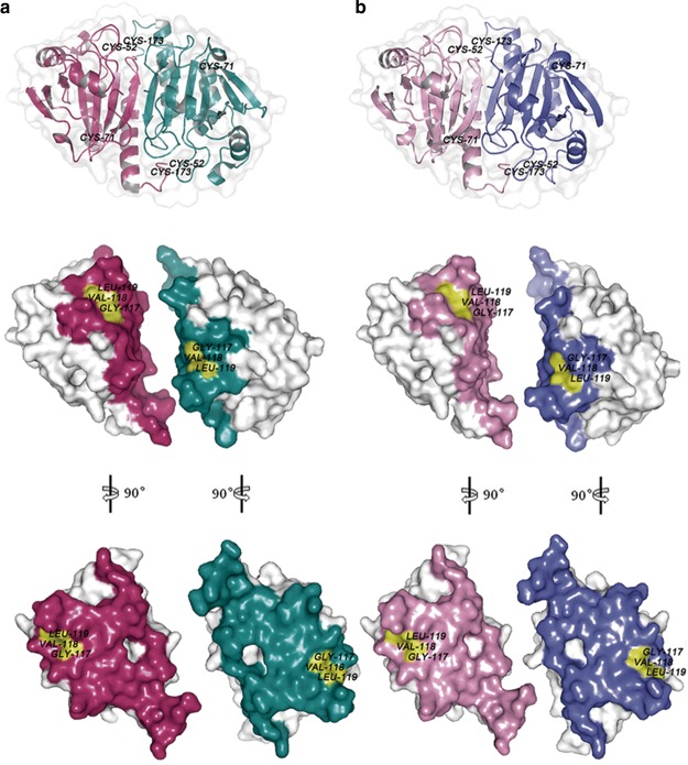 Figure 5.