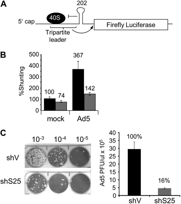 Fig 5