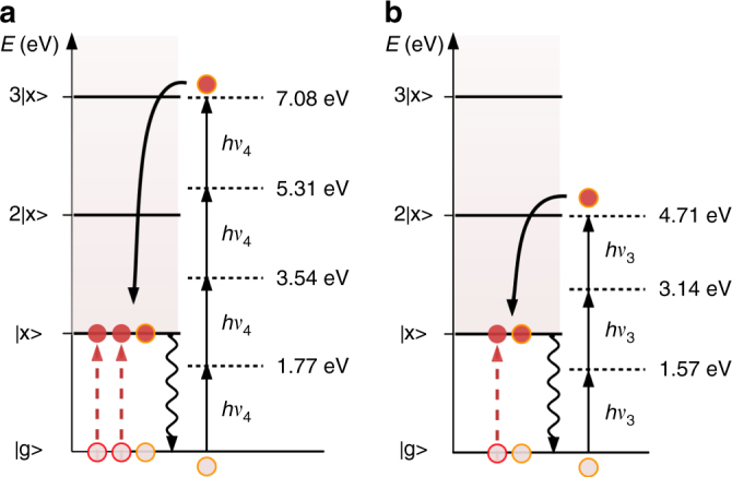 Fig. 4