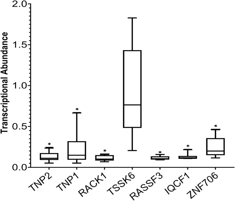 Fig. 7