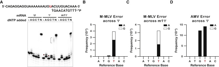 Figure 6