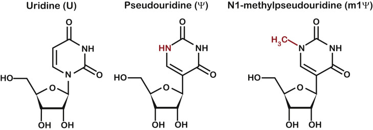 Figure 1