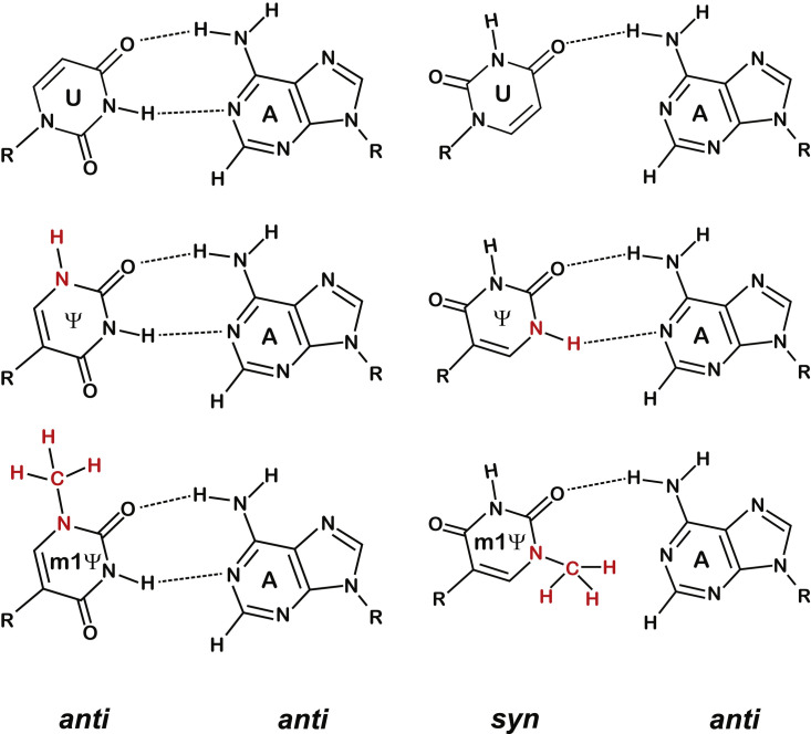 Figure 7