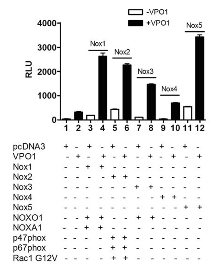 Fig. 8