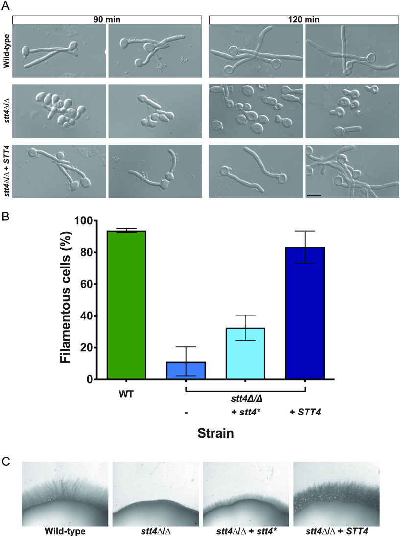 FIG 1