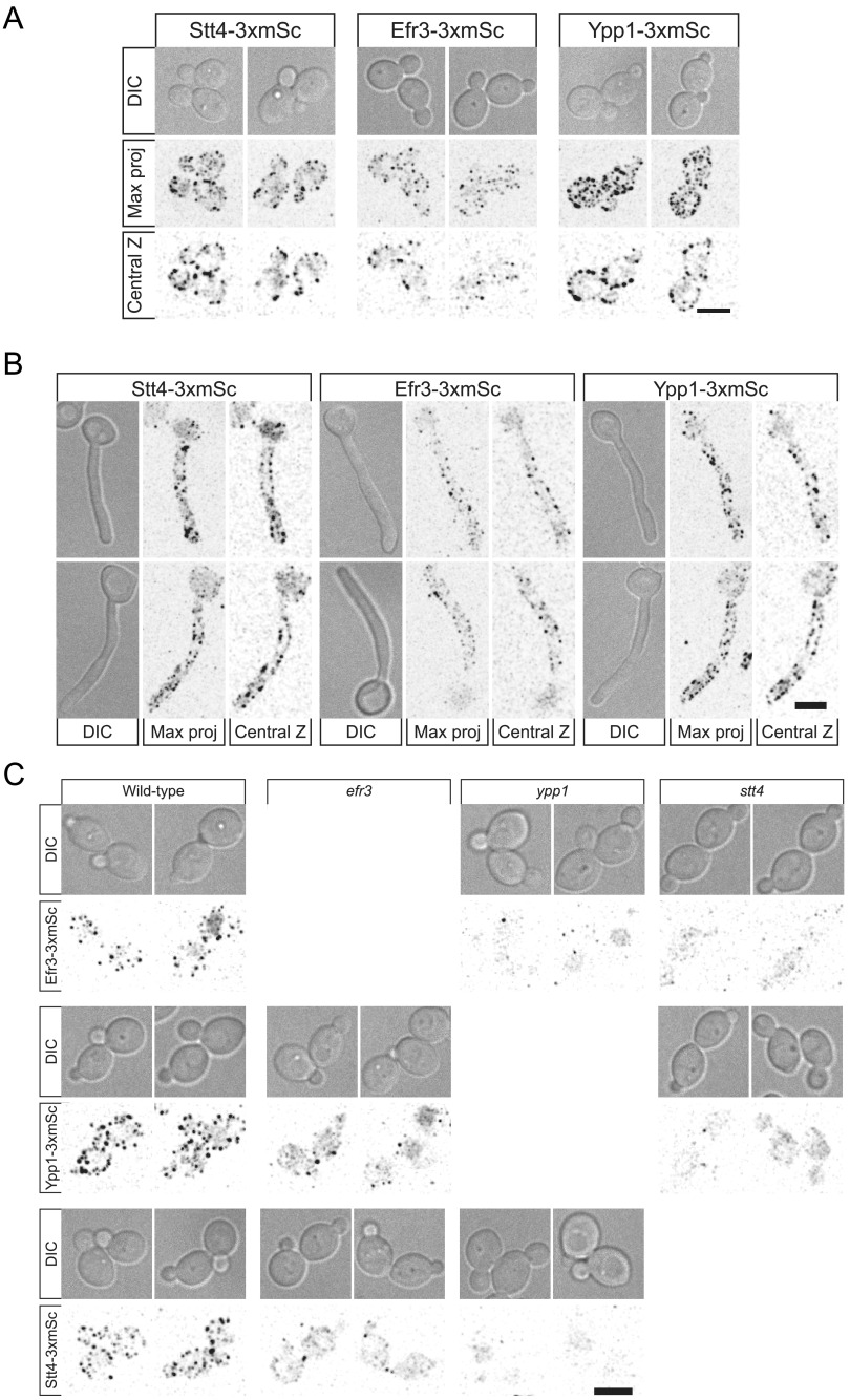 FIG 10