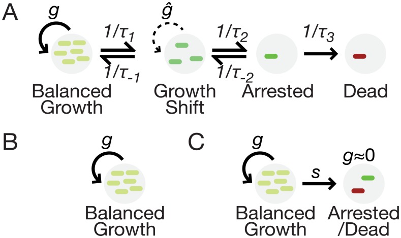 Fig 5