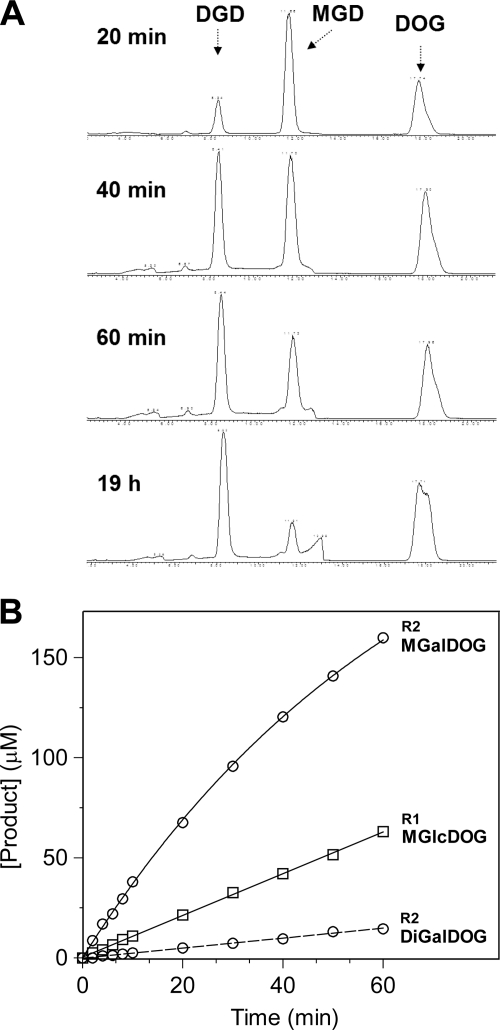 FIGURE 5.