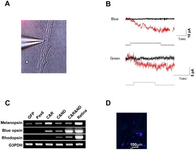 Figure 4