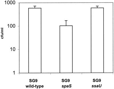 FIG. 1