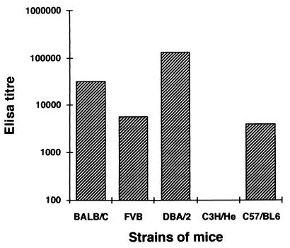 FIG. 9