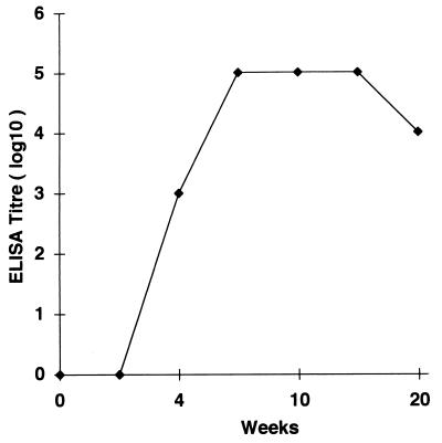 FIG. 5