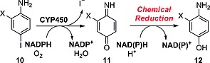 Scheme 9