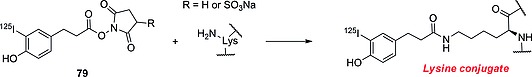 Scheme 19