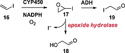 Scheme 11