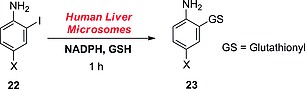 Scheme 13