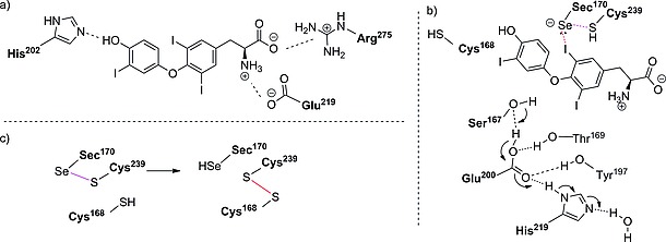 Scheme 5