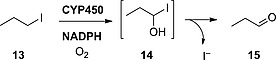 Scheme 10