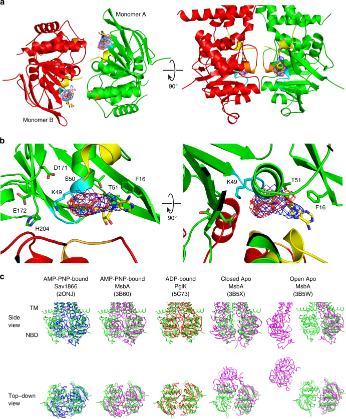 Fig. 4