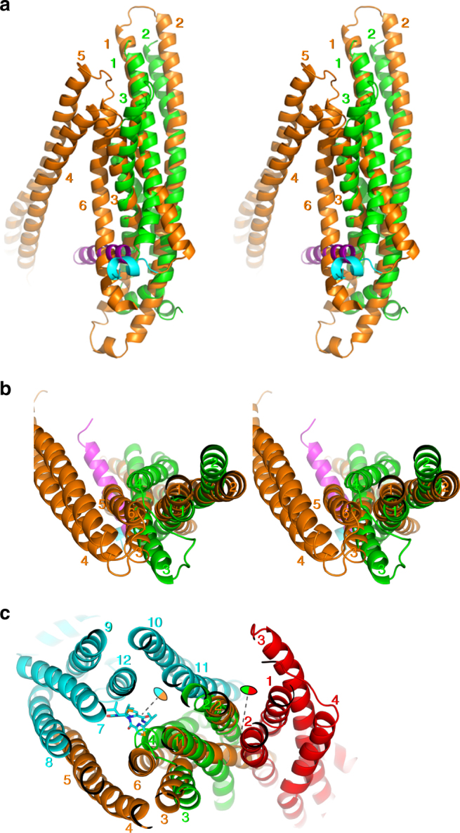 Fig. 7