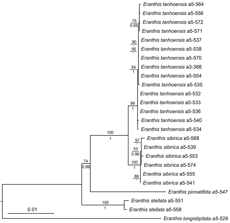 Figure 1.