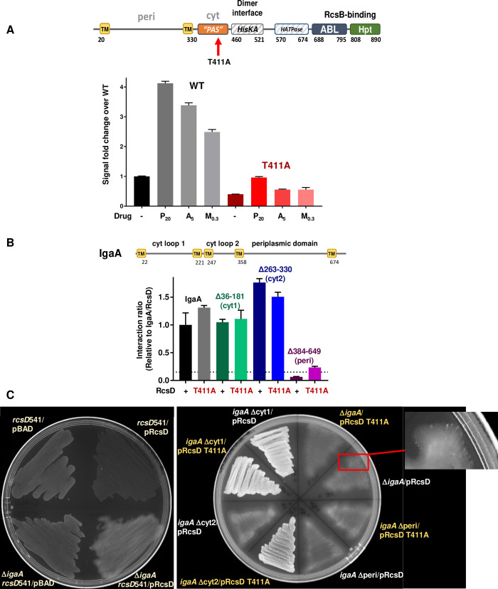 Fig 4