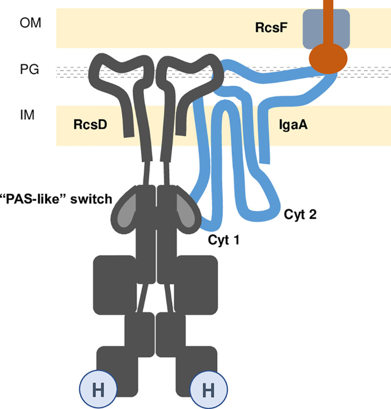 Fig 6