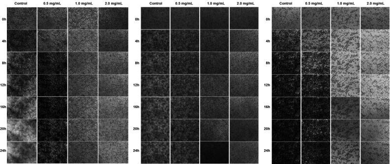 Fig. 8: