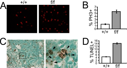 FIG. 8.