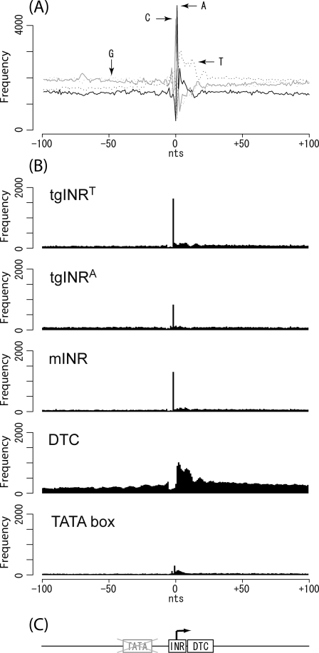 Figure 3