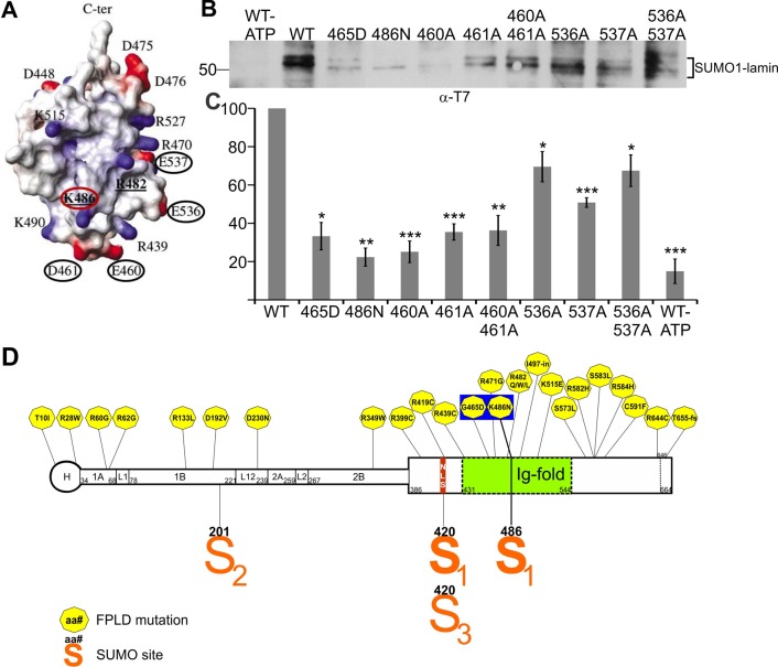 FIGURE 4: