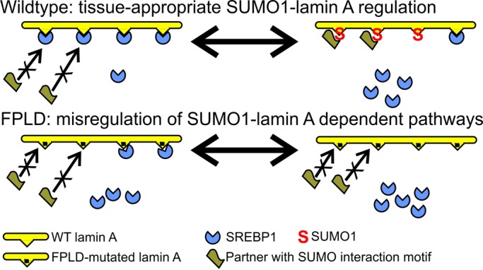 FIGURE 5: