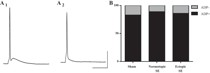 Fig. 10.