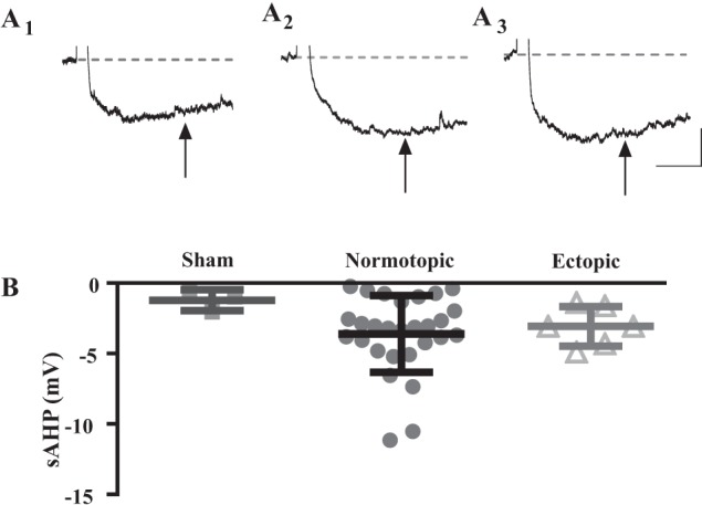 Fig. 9.