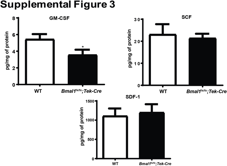 Supplemental Figure S3