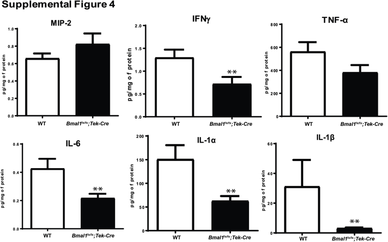 Supplemental Figure S4